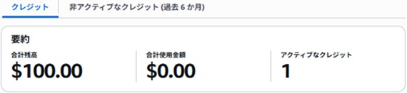 クレジット確認画像